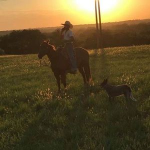 Meet your Posher, Caleb